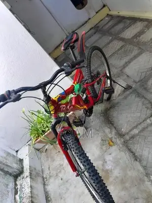 Tomahawk Dual Suspension Mountain Bike