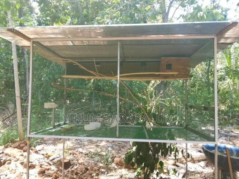 Bird Cage