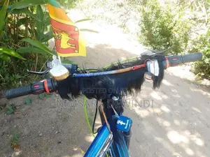 Kenton Bicycle