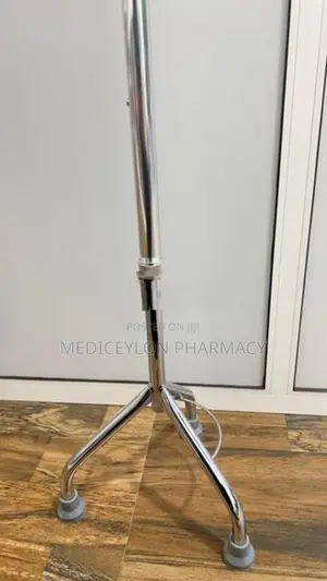 Walking Stick With 03 Legs
