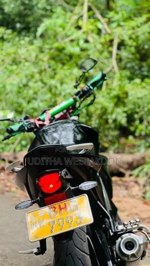 Yamaha FZ BHG 2019
