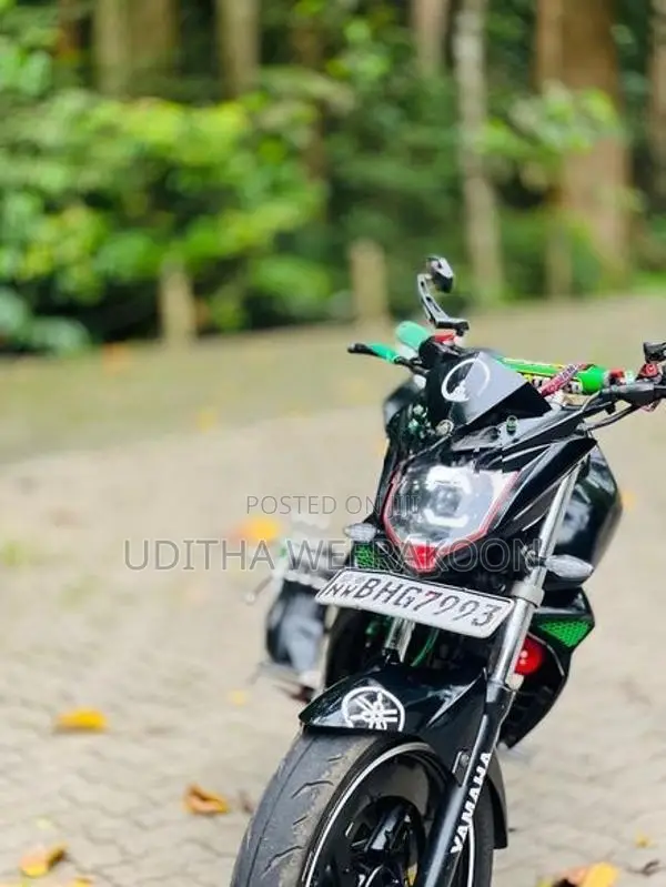 Yamaha FZ BHG 2019