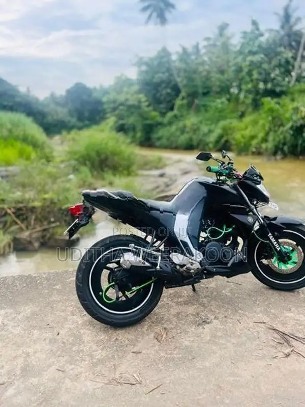 Yamaha FZ BHG 2019