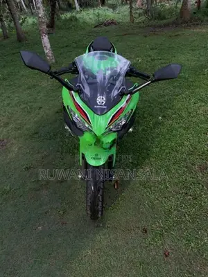 Kawasaki Ninja 250 2023