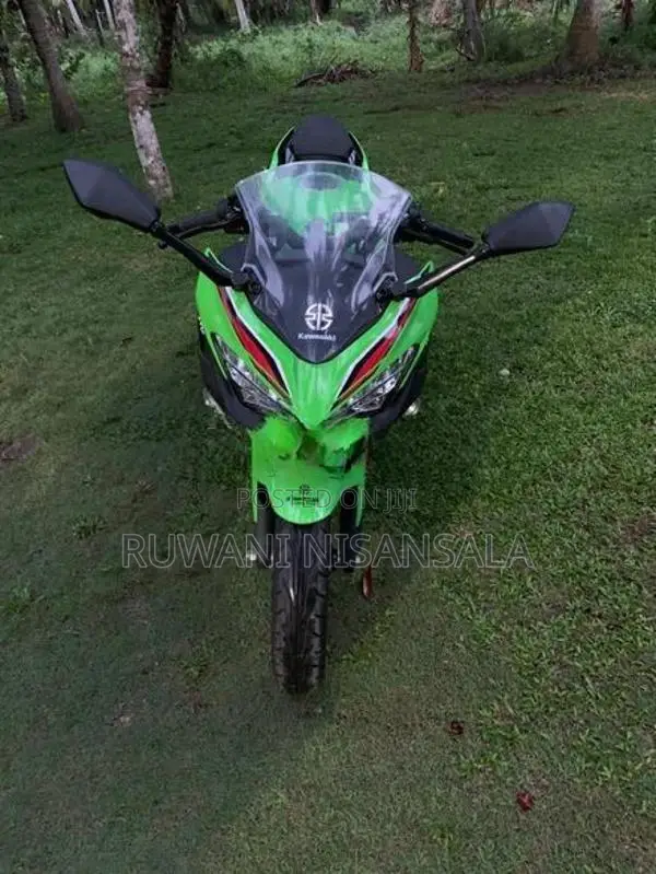 Kawasaki Ninja 250 2023