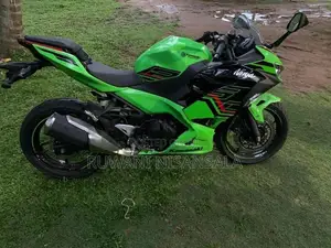 Kawasaki Ninja 250 2023