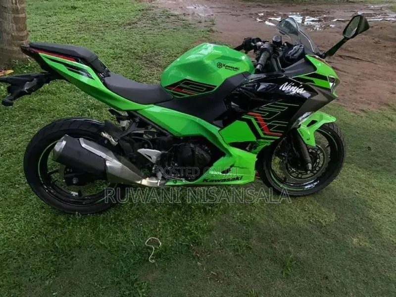 Kawasaki Ninja 250 2023