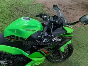Kawasaki Ninja 250 2023