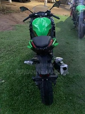 Kawasaki Ninja 250 2023