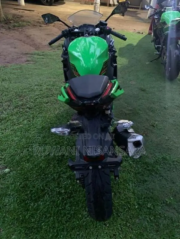 Kawasaki Ninja 250 2023
