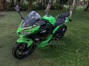 Kawasaki Ninja 250 2023