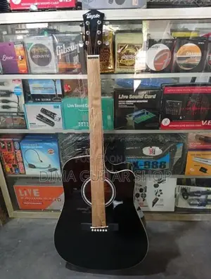 Acoustic Guitars