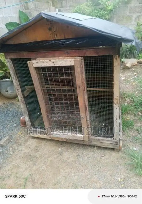 Pigeons Cage