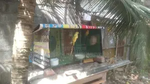 Ringනෙක් Breeding පෙයාර්