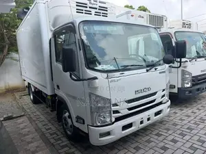 Isuzu Elf Freezer 14.5 2019