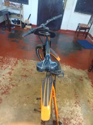 පාපැදි