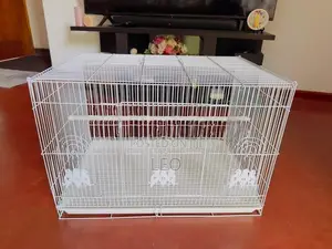 Premium White Bird Cage (2ft) - Brand New