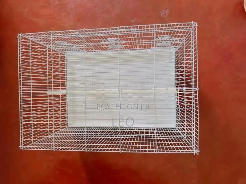 Premium White Bird Cage (2ft) - Brand New
