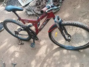 for sale
