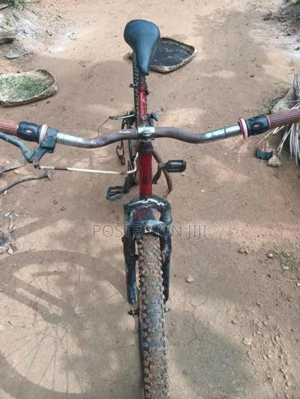 for sale