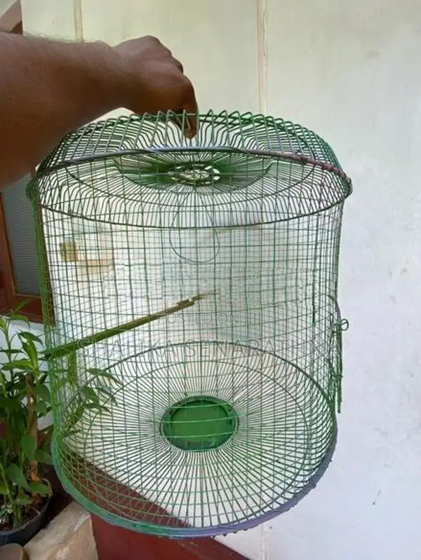 Bird Cage