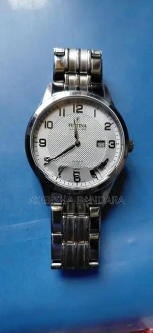 Festina Watch