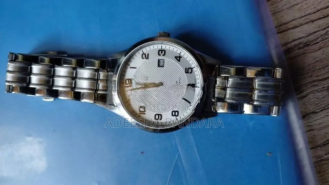Festina Watch