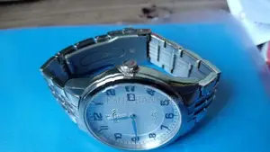 Festina Watch