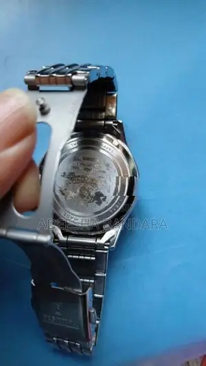 Festina Watch