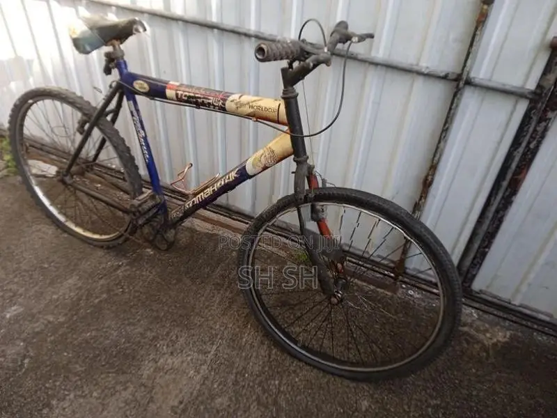 Bicycle
