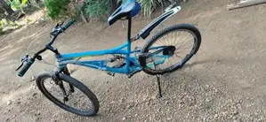 Kenton Bicycle
