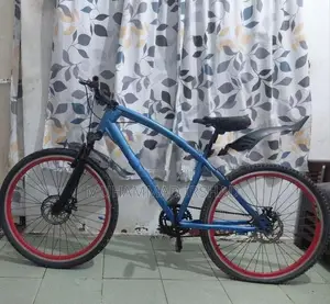 DSI Bicycle