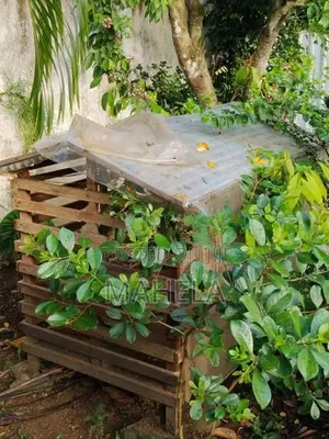 Dog Cage - Large