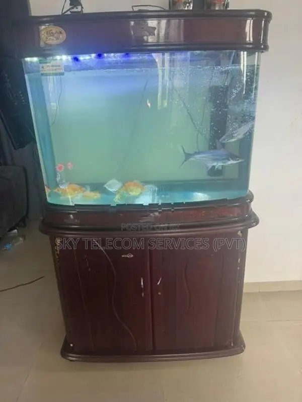 aquarium Fishes with Tank