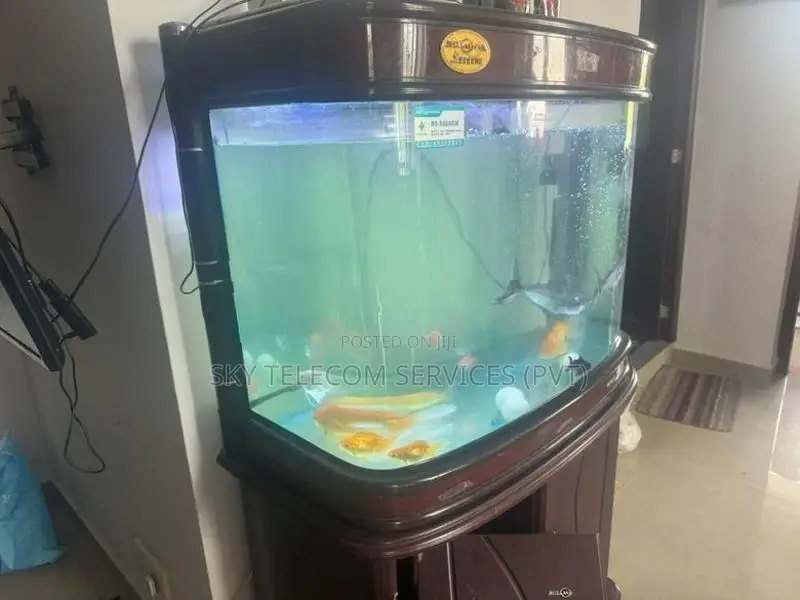aquarium Fishes with Tank