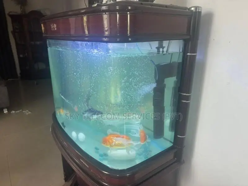 aquarium Fishes with Tank