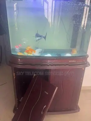 aquarium Fishes with Tank