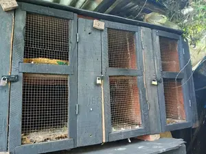 Pigeon Breeding Cage