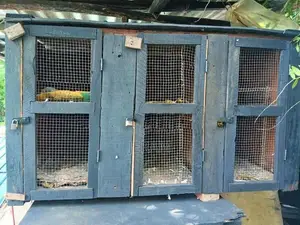 Pigeon Breeding Cage