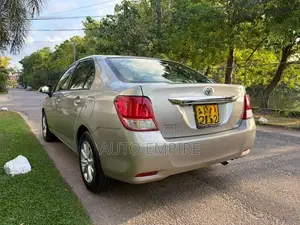 Toyota Axio Petrol 161 2013
