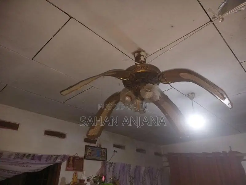 Antique Fan
