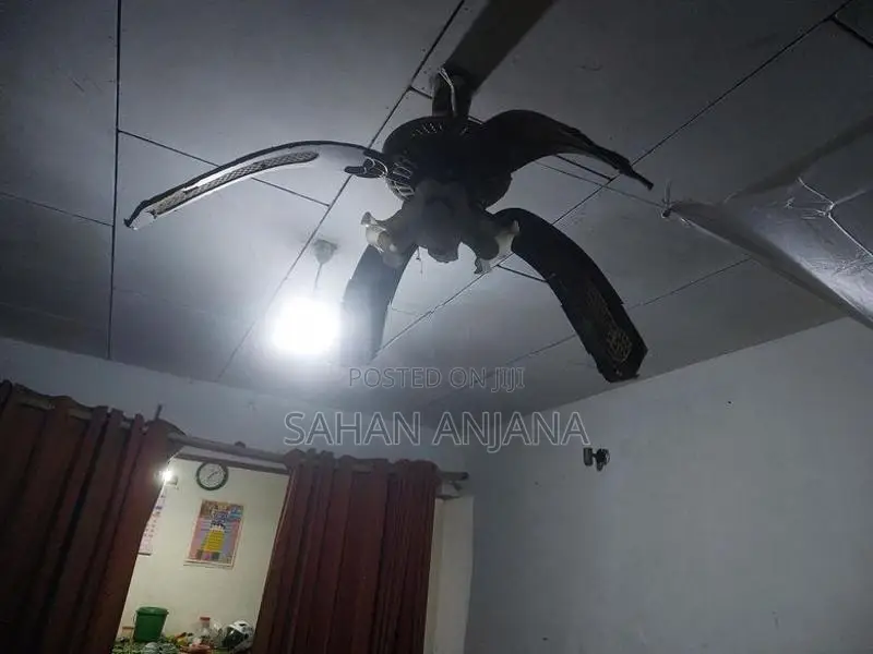 Antique Fan