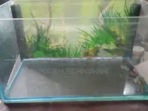 1 Feet Tank