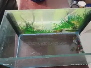 1 Feet Tank