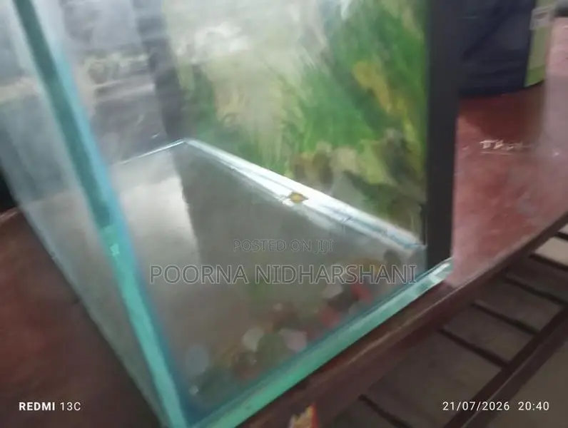 1 Feet Tank