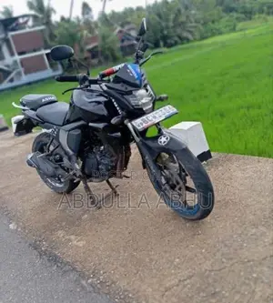 Yamaha FZs V2 2015