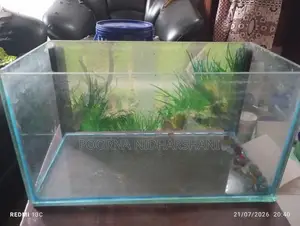 1 Feet Tank