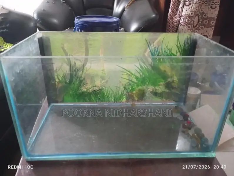 1 Feet Tank