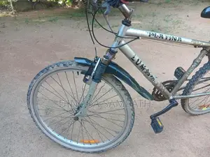 Mountain Bicycle