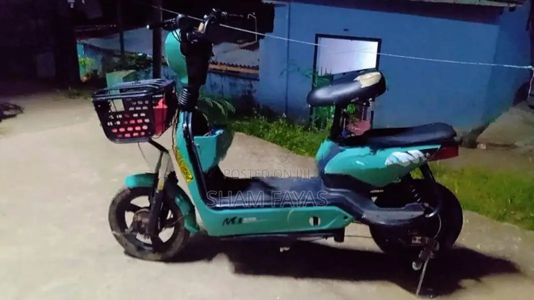 NWOW E Bike 2024